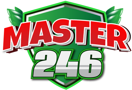 master246 web logo